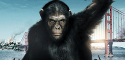 [Critique] La Planète des singes : les origines de Rupert Wyatt